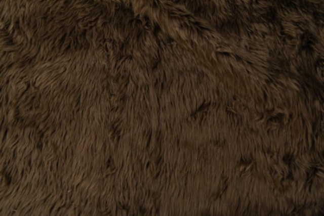 ペルシャ(カーキ)